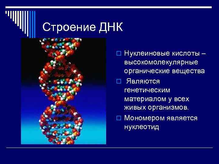 Значение молекул днк. Дезоксирибонуклеиновая кислота ДНК строение. Структура молекулы ДНК. Строение дне. Молекулярная структура ДНК.
