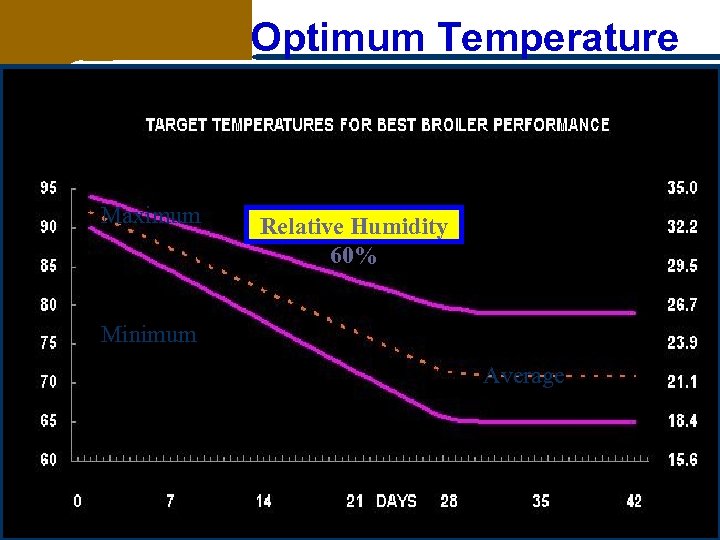 Optimum Temperature Maximum Relative Humidity 60% Minimum Average 