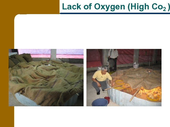 Lack of Oxygen (High Co 2 ) 