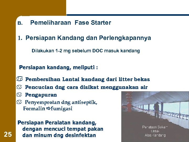 B. Pemeliharaan Fase Starter 1. Persiapan Kandang dan Perlengkapannya Dilakukan 1 -2 mg sebelum