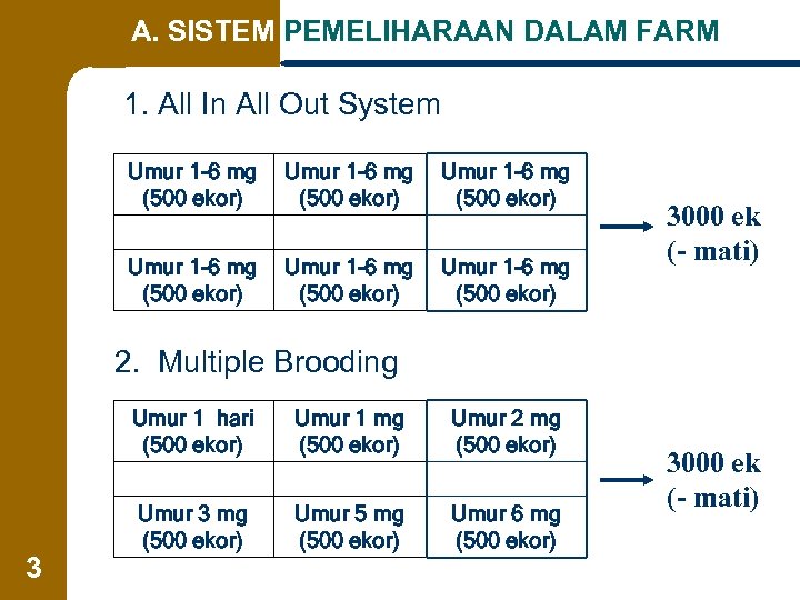 A. SISTEM PEMELIHARAAN DALAM FARM 1. All In All Out System Umur 1 -6