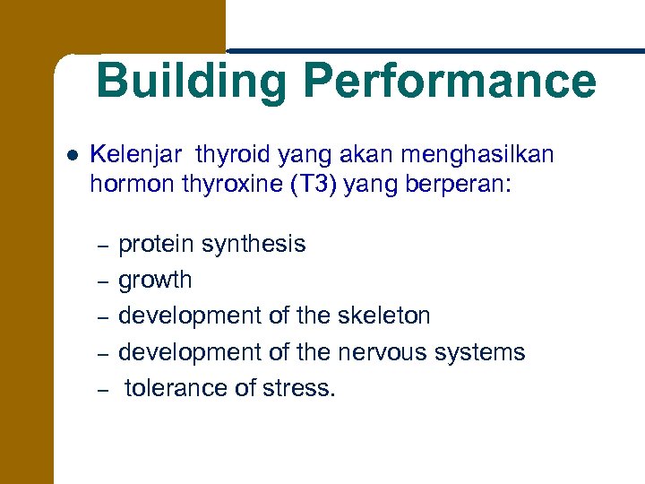 Building Performance l Kelenjar thyroid yang akan menghasilkan hormon thyroxine (T 3) yang berperan: