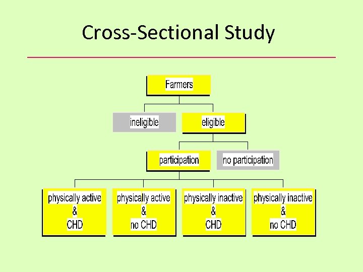 Cross-Sectional Study 
