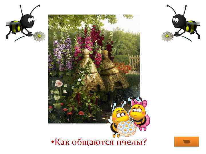  • Как общаются пчелы? 