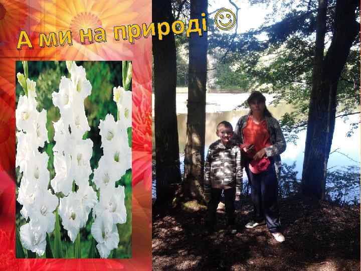 ироді и на пр Ам 