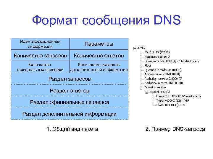Формат сообщения DNS Идентификационная информация Параметры Количество запросов Количество ответов Количество официальных серверов Количество