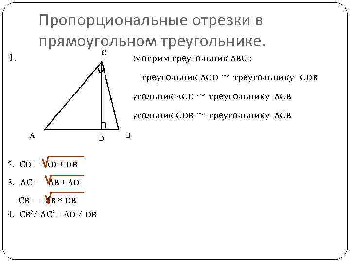 Пропорциональные отрезки в прямоугольном треугольнике. Пропорциональные отрезки в прямоугольном треугольнике формулы.