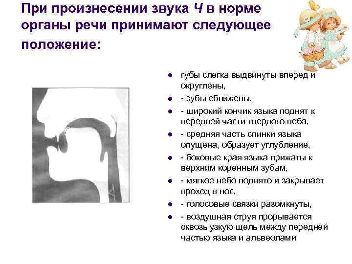 При произнесении звука Ч в норме органы речи принимают следующее положение: l l l