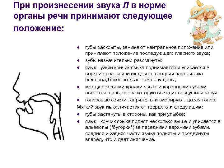 При произнесении звука Л в норме органы речи принимают следующее положение: губы раскрыты, занимают
