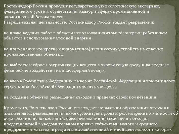 Ростехнадзор России проводит государственную экологическую экспертизу федерального уровня, осуществляет надзор в сферах промышленной и