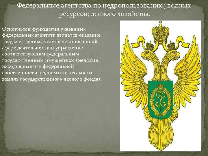 Федеральные агентства по недропользованию; водных ресурсов; лесного хозяйства. Основными функциями указанных федеральных агентств является