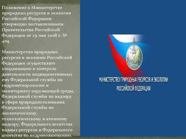 Положение о Министерстве природных ресурсов и экологии Российской Федерации утвержедно постановлением Правительства Российской Федерации
