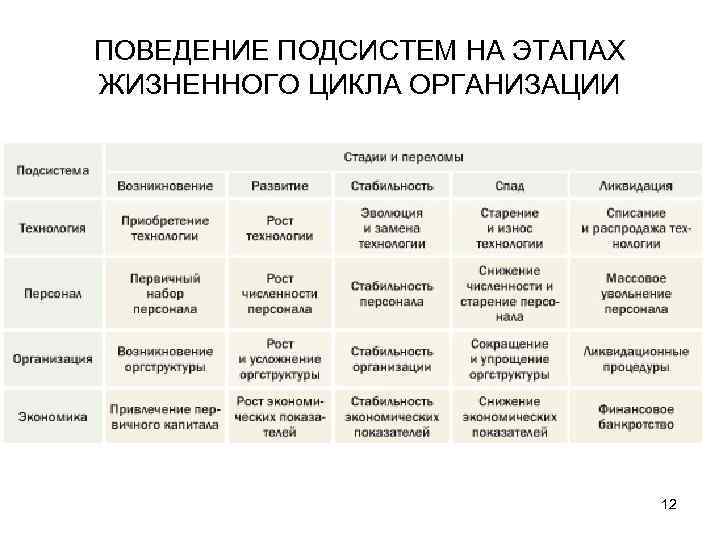 ПОВЕДЕНИЕ ПОДСИСТЕМ НА ЭТАПАХ ЖИЗНЕННОГО ЦИКЛА ОРГАНИЗАЦИИ 12 