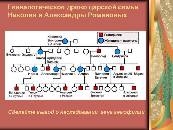 Генеалогическое древо юсуповых схема