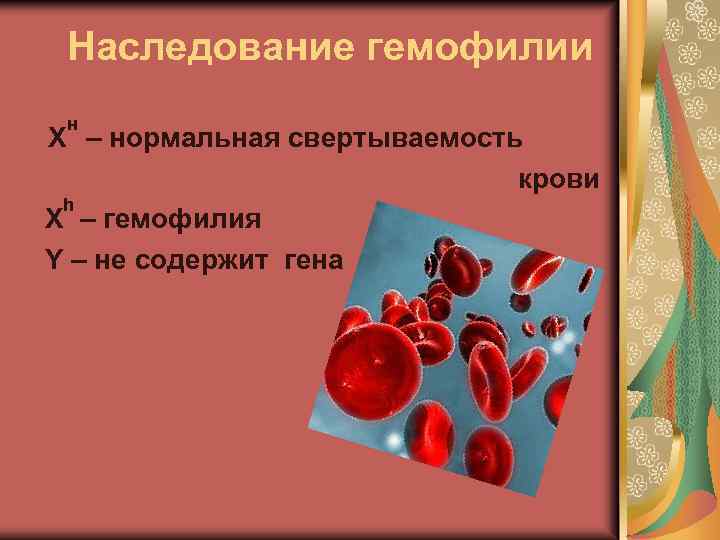 Гемофилия h. Свертываемость крови гемофилия. Свёртывание КРОВИГЕМОФИЛИЯ. Гемофилия (несвертываемость крови). Схема наследования гемофилии.