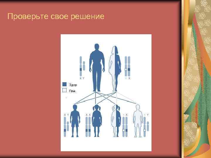 Проверьте свое решение 