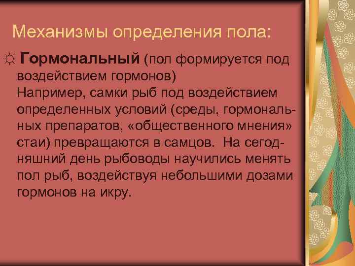 Механизмы определения пола: ☼ Гормональный (пол формируется под воздействием гормонов) Например, самки рыб под