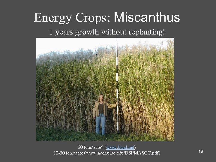 Energy Crops: Miscanthus 1 years growth without replanting! 20 tons/acre? (www. bical. net) 10