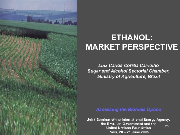 ETHANOL: MARKET PERSPECTIVE Luiz Carlos Corrêa Carvalho Sugar and Alcohol Sectorial Chamber, Ministry of