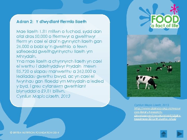 Adran 2: Y diwydiant ffermio llaeth Mae llaeth 1. 81 miliwn o fuchod, sydd