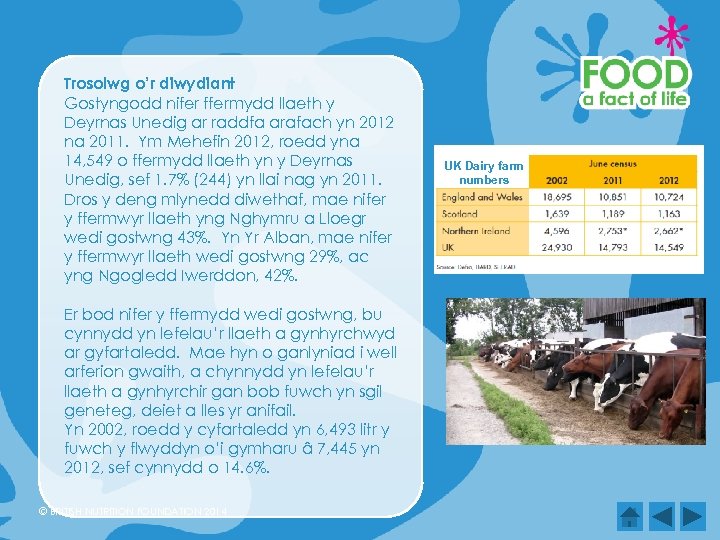 Trosolwg o’r diwydiant Gostyngodd nifer ffermydd llaeth y Deyrnas Unedig ar raddfa arafach yn