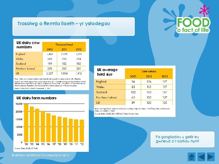 Trosolwg o ffermio llaeth – yr ystadegau UK dairy cow numbers UK average herd