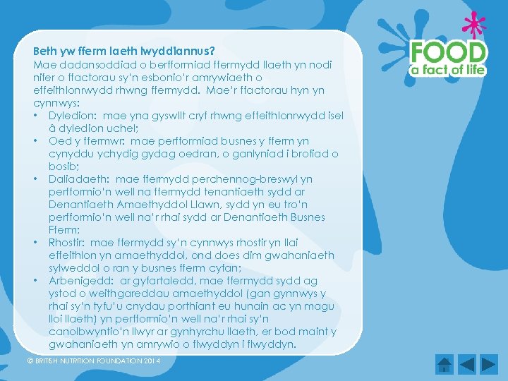 Beth yw fferm laeth lwyddiannus? Mae dadansoddiad o berfformiad ffermydd llaeth yn nodi nifer