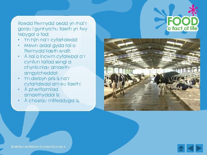 Roedd ffermydd oedd yn rhoi’r gorau i gynhyrchu llaeth yn fwy tebygol o fod: