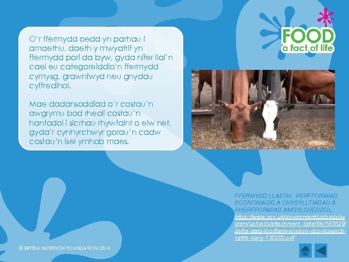 O’r ffermydd oedd yn parhau i amaethu, daeth y mwyafrif yn ffermydd pori da