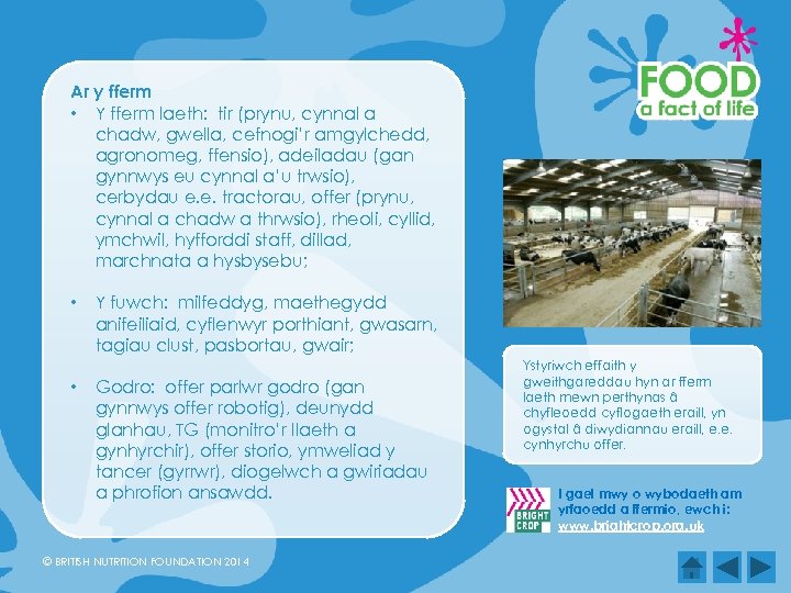 Ar y fferm • Y fferm laeth: tir (prynu, cynnal a chadw, gwella, cefnogi’r