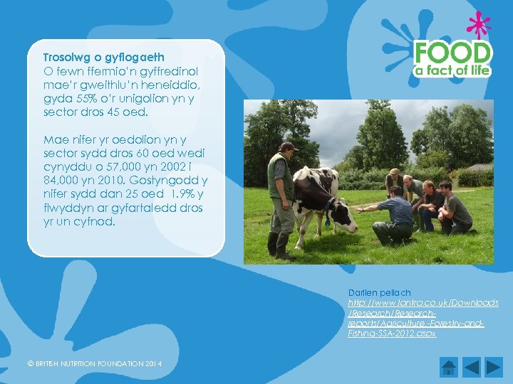 Trosolwg o gyflogaeth O fewn ffermio’n gyffredinol mae’r gweithlu’n heneiddio, gyda 55% o’r unigolion