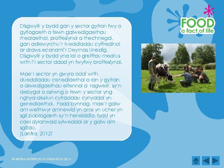 Disgwylir y bydd gan y sector gyfran fwy o gyflogaeth o fewn galwedigaethau rheolaethol,