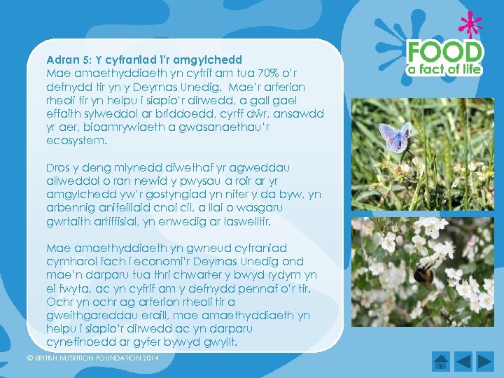 Adran 5: Y cyfraniad i’r amgylchedd Mae amaethyddiaeth yn cyfrif am tua 70% o’r