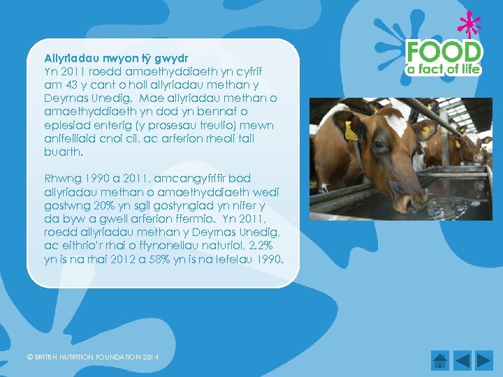 Allyriadau nwyon tŷ gwydr Yn 2011 roedd amaethyddiaeth yn cyfrif am 43 y cant