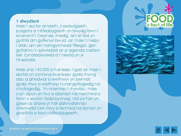 Y diwydiant Mae’r sector amaeth, coedwigaeth, pysgota a milfeddygaeth yn bwysig iawn i economi’r