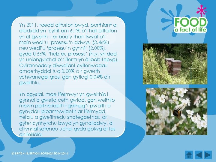 Yn 2011, roedd allforion bwyd, porthiant a diodydd yn cyfrif am 6. 1% o’r