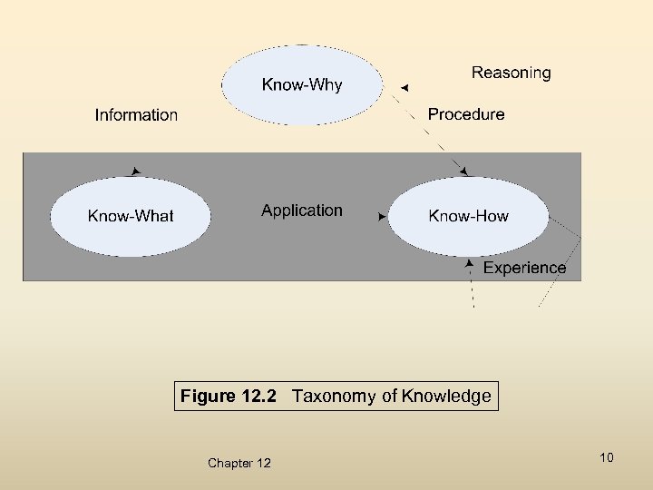 Figure 12. 2 Taxonomy of Knowledge Chapter 12 10 
