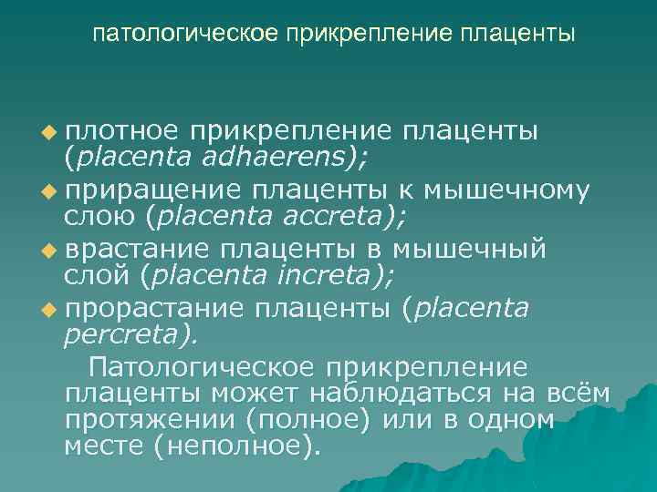 патологическое прикрепление плаценты u плотное прикрепление плаценты (placenta adhaerens); u приращение плаценты к мышечному