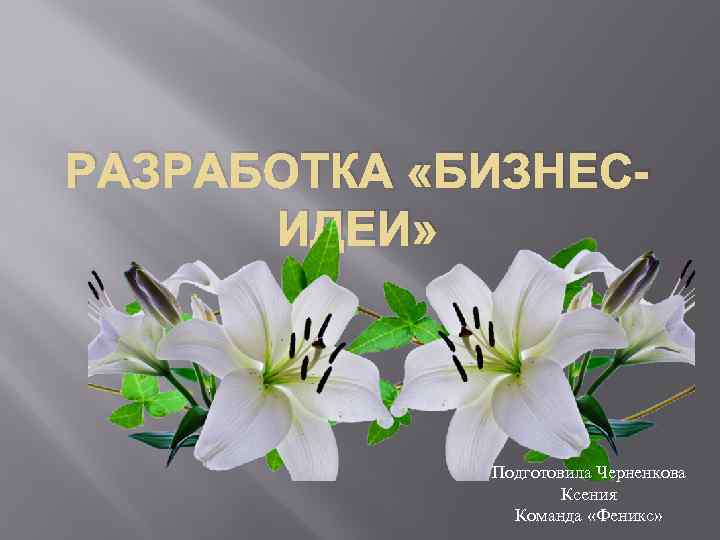 РАЗРАБОТКА «БИЗНЕСИДЕИ» Подготовила Черненкова Ксения Команда «Феникс» 