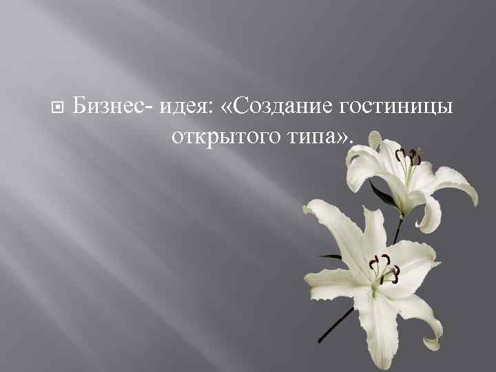  Бизнес- идея: «Создание гостиницы открытого типа» . 
