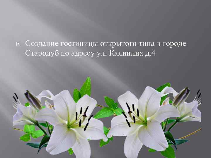  Создание гостиницы открытого типа в городе Стародуб по адресу ул. Калинина д. 4