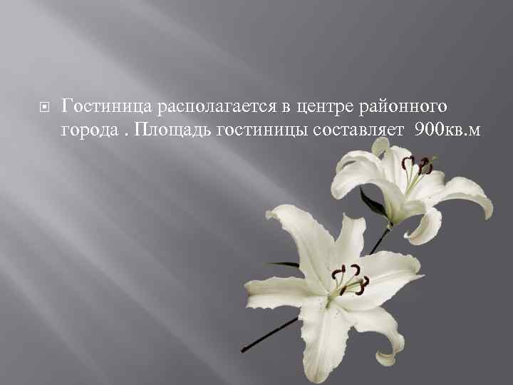  Гостиница располагается в центре районного города. Площадь гостиницы составляет 900 кв. м 