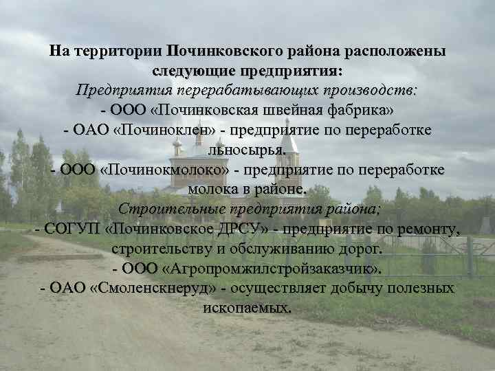 На территории Починковского района расположены следующие предприятия: Предприятия перерабатывающих производств: - ООО «Починковская швейная