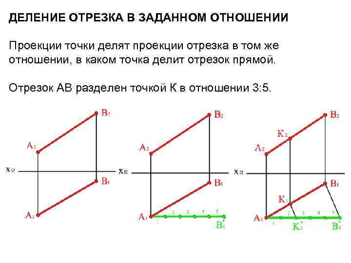 Проекция точки и отрезка