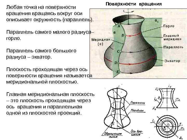 Экватором поверхности вращения показанной на чертеже является линия