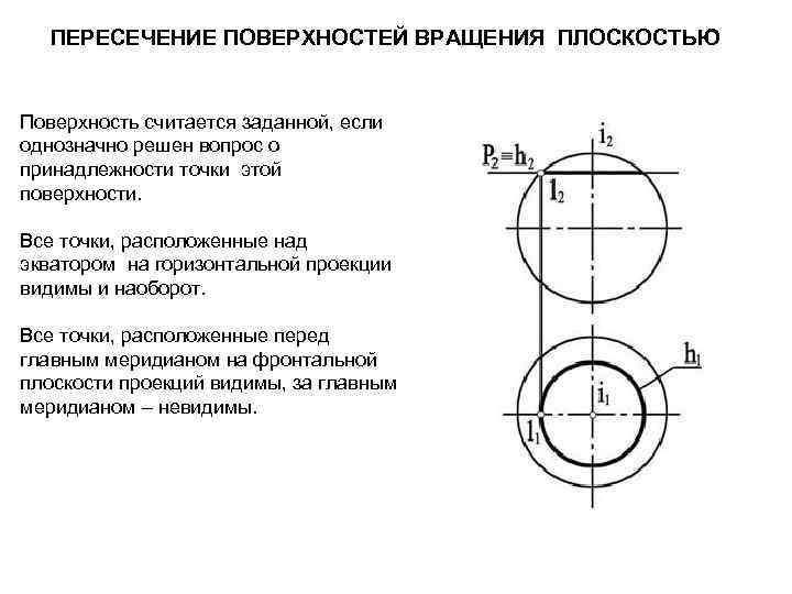 Экватором поверхности вращения показанной на чертеже является линия