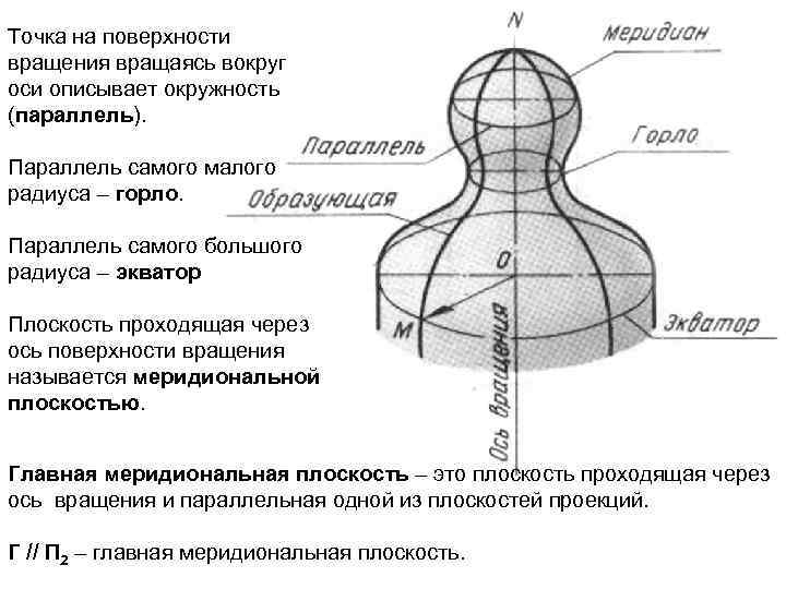 Экватором поверхности вращения показанной на чертеже является линия