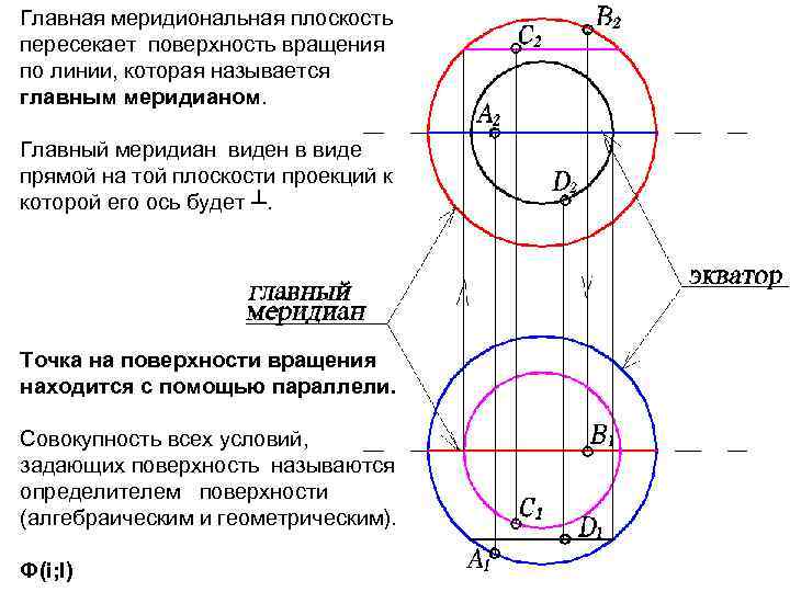 Экватором поверхности вращения показанной на чертеже является линия