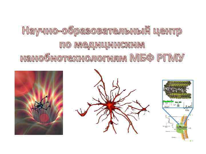 Научно-образовательный центр по медицинским нанобиотехнологиям МБФ РГМУ 