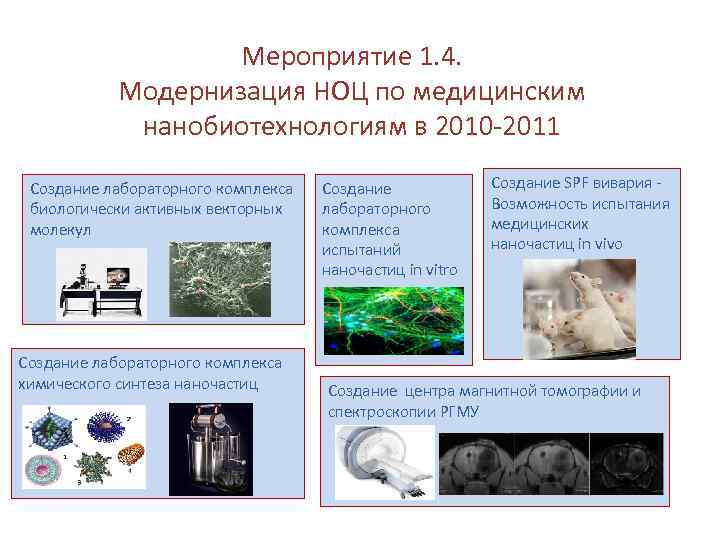 Мероприятие 1. 4. Модернизация НОЦ по медицинским нанобиотехнологиям в 2010 -2011 Создание лабораторного комплекса